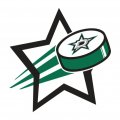 Dallas Stars Hockey Goal Star logo decal sticker