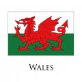 Wales flag logo decal sticker