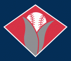 Cedar Rapids Kernels 1993-2006 Cap Logo Sticker Heat Transfer