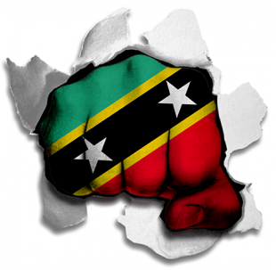 Fist Saint Kitts and Nevis Flag Logo Sticker Heat Transfer