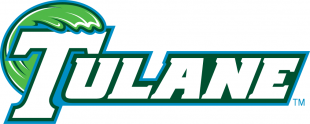 Tulane Green Wave 2014-Pres Wordmark Logo 01 decal sticker