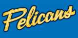 Myrtle Beach Pelicans 2007-Pres Jersey Logo 2 decal sticker