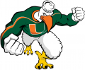 Miami Hurricanes 2000-2005 Mascot Logo Sticker Heat Transfer