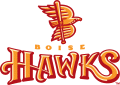 Boise Hawks 2007-2010 Primary Logo decal sticker