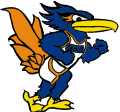 Texas-SA Roadrunners 1996-2007 Mascot Logo decal sticker