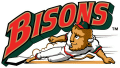 Buffalo Bisons 1998-2008 Primary Logo decal sticker