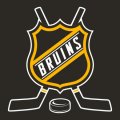 Hockey Boston Bruins Logo Sticker Heat Transfer