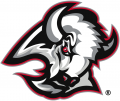Buffalo Sabres 1999 00-2005 06 Primary Logo Sticker Heat Transfer
