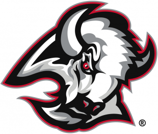 Buffalo Sabres 1999 00-2005 06 Primary Logo decal sticker