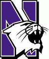 Northwestern Wildcats 1981-2011 Primary Logo 01 Sticker Heat Transfer