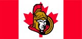Ottawa Senators Flag001 logo Sticker Heat Transfer