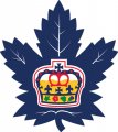 Toronto Marlies 2016 17-Pres Primary Logo decal sticker
