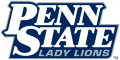 Penn State Nittany Lions 2001-2004 Wordmark Logo Sticker Heat Transfer