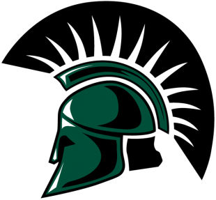 USC Upstate Spartans 2003-2008 Primary Logo Sticker Heat Transfer