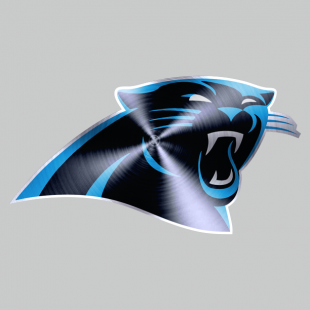 Carolina Panthers Stainless steel logo Sticker Heat Transfer