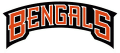 Cincinnati Bengals 1997-2003 Wordmark Logo decal sticker