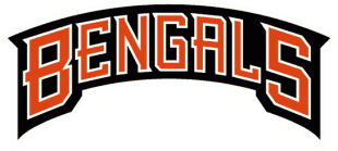 Cincinnati Bengals 1997-2003 Wordmark Logo Sticker Heat Transfer