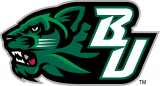 Binghamton Bearcats 2001-Pres Secondary Logo 02 decal sticker
