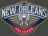 New Orleans Pelicans Plastic Effect Logo decal sticker