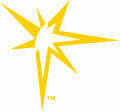 Tampa Bay Rays 2008-Pres Alternate Logo 02 decal sticker