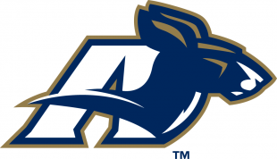 Akron Zips 2002-2007 Secondary Logo decal sticker