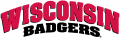 Wisconsin Badgers 2002-Pres Wordmark Logo 01 decal sticker