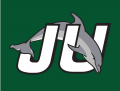 Jacksonville Dolphins 1996-2018 Alternate Logo Sticker Heat Transfer