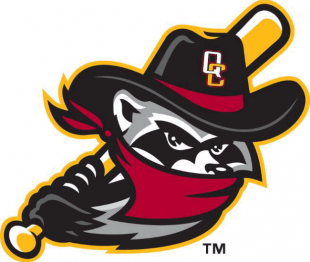 Quad Cities River Bandits 2014-Pres Alternate Logo 2 decal sticker