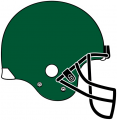 Tulane Green Wave 2005 Helmet Logo 03 decal sticker