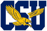 Coppin State Eagles 2017-Pres Primary Logo decal sticker