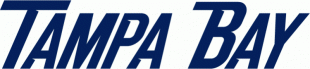 Tampa Bay Lightning 2007 08-2009 10 Wordmark Logo decal sticker