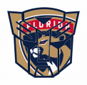 Autobots Florida Panthers logo Sticker Heat Transfer