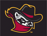 Quad Cities River Bandits 2008-2013 Cap Logo Sticker Heat Transfer