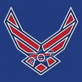 Airforce Buffalo Bills logo decal sticker
