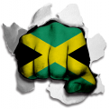 Fist Jamaica Flag Logo decal sticker