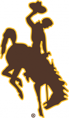 Wyoming Cowboys 2006-Pres Primary Logo decal sticker
