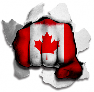 Fist Canada Flag Logo decal sticker