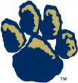 Pittsburgh Panthers 1997-2018 Alternate Logo Sticker Heat Transfer