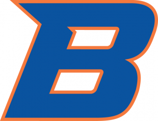 Boise State Broncos 2013-Pres Secondary Logo decal sticker