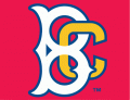 Brooklyn Cyclones 2001-Pres Cap Logo 3 decal sticker