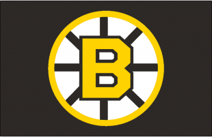 Boston Bruins 1955 56-1994 95 Jersey Logo Sticker Heat Transfer