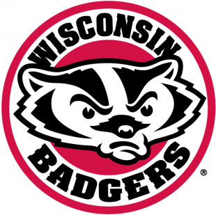 Wisconsin Badgers 2002-Pres Alternate Logo Sticker Heat Transfer