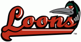 Great Lakes Loons 2007-2015 Jersey Logo Sticker Heat Transfer