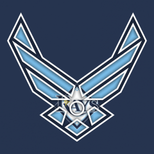 Airforce Tampa Bay Rays Logo decal sticker