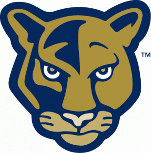 FIU Panthers 2001-2008 Alternate Logo Sticker Heat Transfer