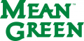 North Texas Mean Green 2005-Pres Wordmark Logo 02 Sticker Heat Transfer