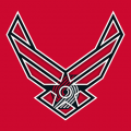 Airforce Portland Trail Blazers Logo decal sticker