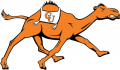 Campbell Fighting Camels 2008-Pres Alternate Logo decal sticker