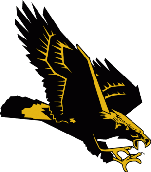 Southern Miss Golden Eagles 1990-2002 Secondary Logo Sticker Heat Transfer