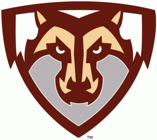 St.Bonaventure Bonnies 2002-Pres Partial Logo decal sticker